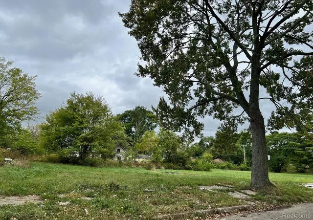 image of 13832 Pinewood St, Detroit, MI 48205 | MLS# 20240071511