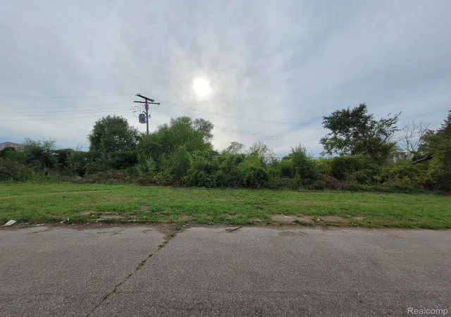 Photo 2 of Land for sale at 471 Jefferson, Detroit, MI 48207 | MLS# 20240073928 | Listing updated on 2026-07-30