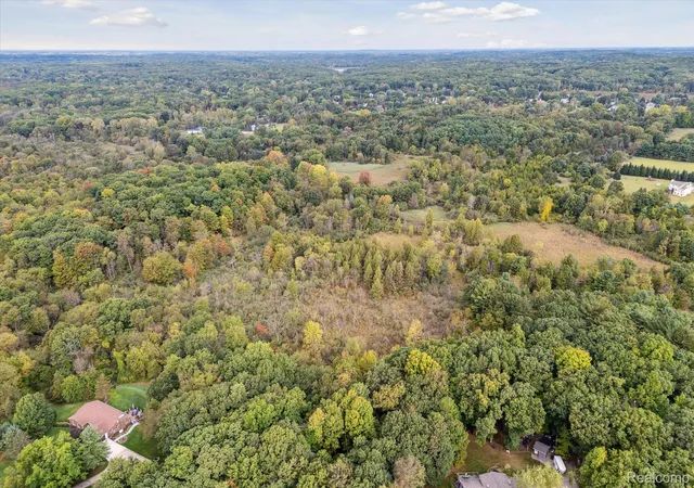 Photo 4 of Land for sale at 000 Swarthout Rd, Pinckney, MI 48169 | MLS# 20240074022 | Listing updated on 2026-07-06