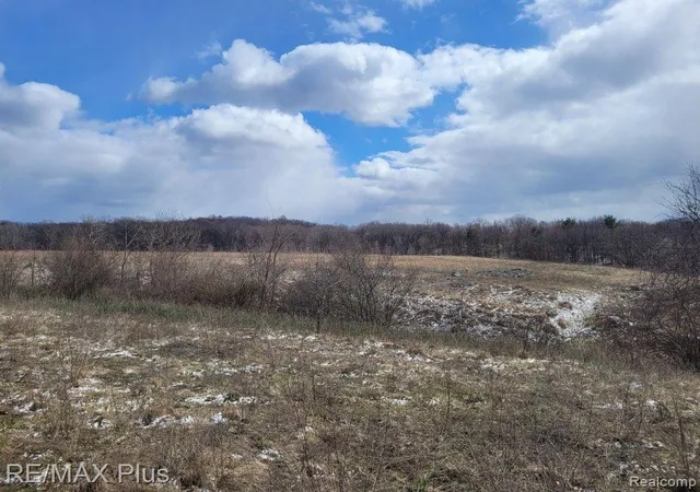 Photo 3 of Land for sale at 3400 S Lapeer Rd, Metamora, MI 48455 | MLS# 20240080366 | Listing updated on 2026-04-22