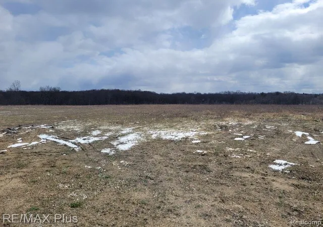 Photo 4 of Land for sale at 3400 S Lapeer Rd, Metamora, MI 48455 | MLS# 20240080366 | Listing updated on 2026-04-22