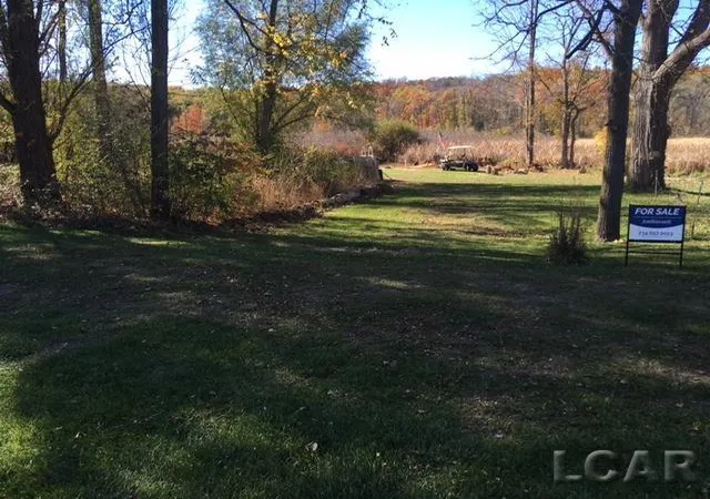 Photo 3 of Land for sale at Lots N 31 & 43 Cnl St Dr, Onsted Village Lenawee, MI 49265 | MLS# 56050159697 | Listing updated on 2026-06-09