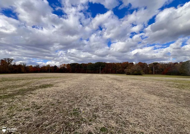 3rd image of 0 E Court St, Davison, MI 48423 | MLS# 5050161765