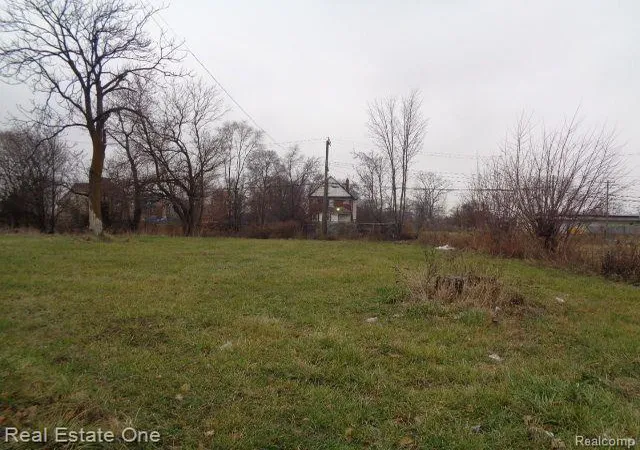 Photo 1 of Land for sale at 5230 Linwood St, Detroit, MI 48208 | MLS# 20240093459 | Listing updated on 2026-01-29
