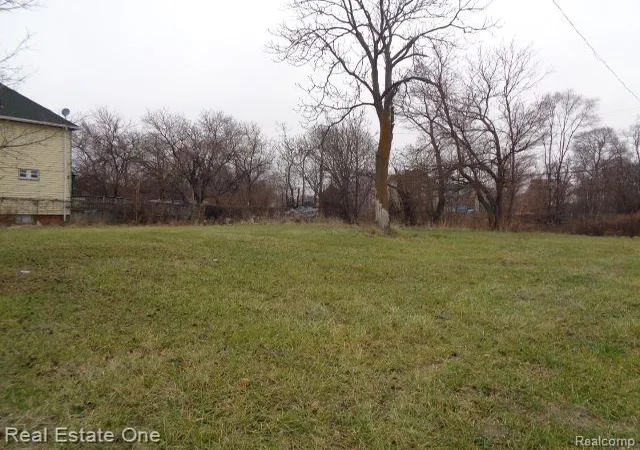 Photo 2 of Land for sale at 5230 Linwood St, Detroit, MI 48208 | MLS# 20240093459 | Listing updated on 2026-01-29