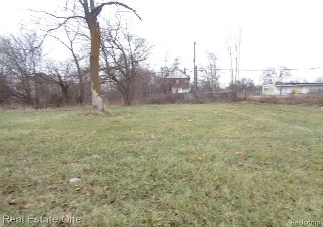 Photo 2 of Land for sale at 5230 Linwood St, Detroit, MI 48208 | MLS# 20240093459 | Listing updated on 2026-01-29