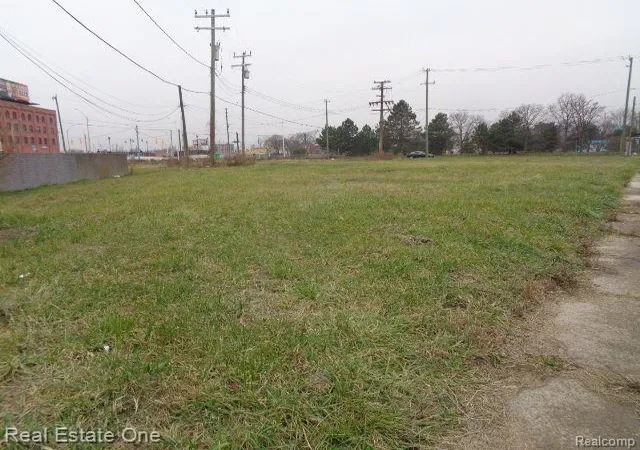 Photo 3 of Land for sale at 5230 Linwood St, Detroit, MI 48208 | MLS# 20240093459 | Listing updated on 2026-01-29