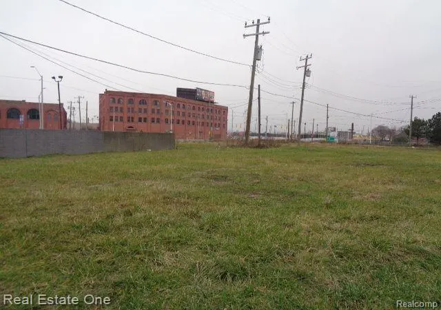 Photo 4 of Land for sale at 5230 Linwood St, Detroit, MI 48208 | MLS# 20240093459 | Listing updated on 2026-01-29