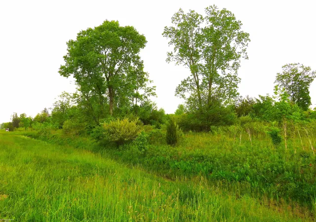 Photo 1 of Land for sale at 65002 Gratiot Rd, Lenox, MI 48050 | MLS# 58050164094 | Listing updated on 2026-09-02