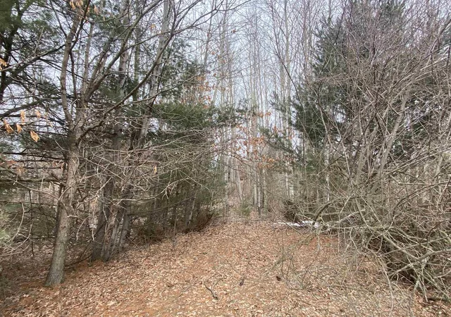 Homes for sale in Williamsburg, MI | Lot 33 Scenic Hills Dr, Williamsburg, MI 49690 | MLS# 78080053615