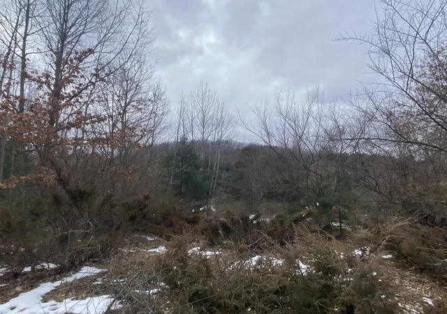 Homes for sale in Williamsburg, MI | Lot 33 Scenic Hills Dr, Williamsburg, MI 49690 | MLS# 78080053615