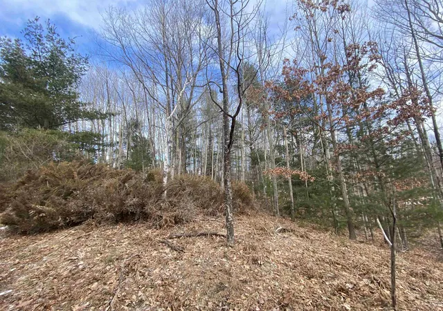 Homes for sale in Williamsburg, MI | Lot 31 Scenic Hills Dr, Williamsburg, MI 49690 | MLS# 78080053616