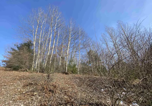 Homes for sale in Williamsburg, MI | Lot 34 Scenic Hills Dr, Williamsburg, MI 49690 | MLS# 78080053617