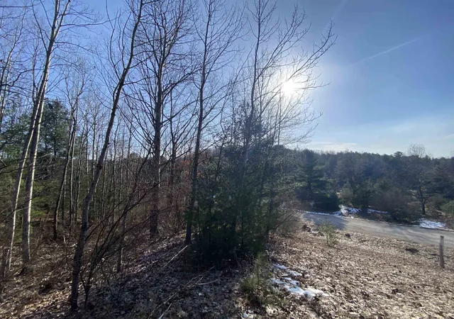 Homes for sale in Williamsburg, MI | Lot 34 Scenic Hills Dr, Williamsburg, MI 49690 | MLS# 78080053617