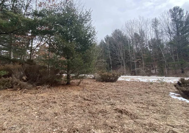 Homes for sale in Williamsburg, MI | Lot 35 Scenic Hills Dr, Williamsburg, MI 49690 | MLS# 78080053653
