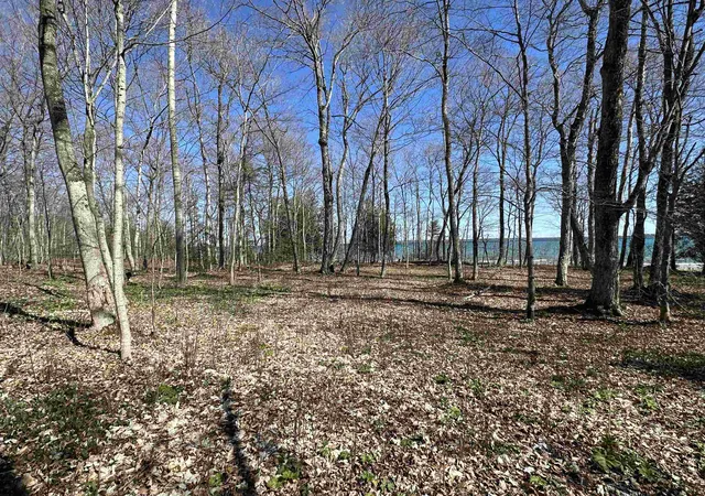 Photo 3 of Land for sale at Tbd Beaver Island Rd, Beaver Island, MI 49782 | MLS# 78080053827 | Listing updated on 2026-02-23