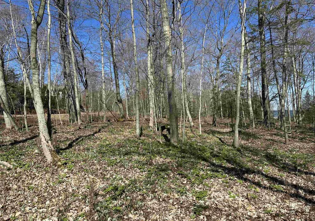 Photo 4 of Land for sale at Tbd Beaver Island Rd, Beaver Island, MI 49782 | MLS# 78080053827 | Listing updated on 2026-02-23