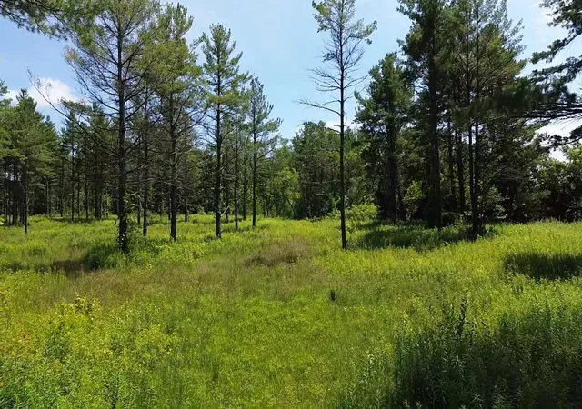 3rd image of 0 S Us-31, Elk Rapids Township Antrim, MI 49629 | MLS# 78080053901