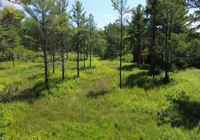 4th image of 0 S Us-31, Elk Rapids Township Antrim, MI 49629 | MLS# 78080053901