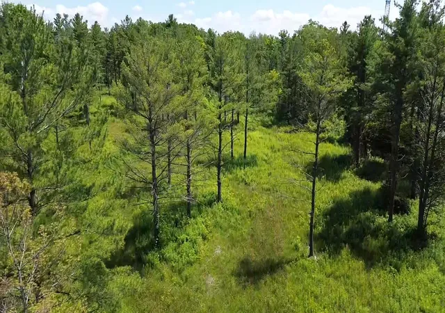 5th image of 0 S Us-31, Elk Rapids Township Antrim, MI 49629 | MLS# 78080053901