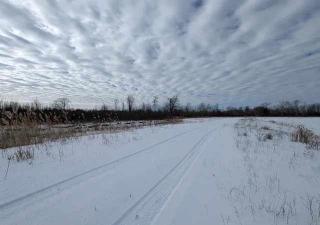 15th image of N/a Swenson Rd, Au Gres Township Arenac, MI 48703 | MLS# 77080053969