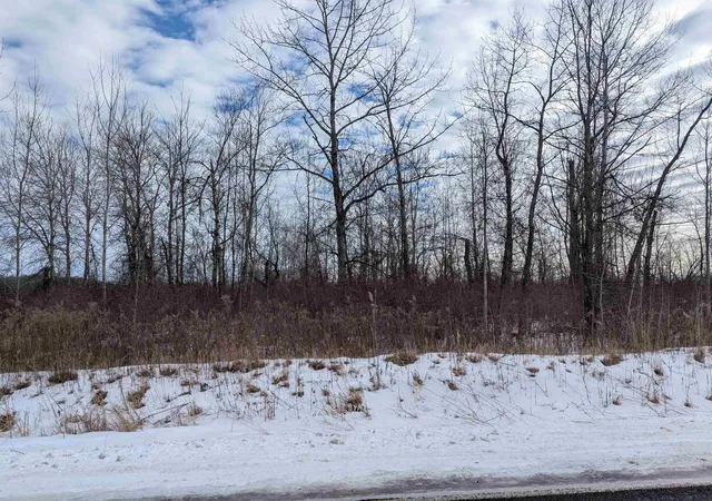 3rd image of N/A Swenson Rd, Au Gres Township Arenac, MI 48703 | MLS# 77080053969