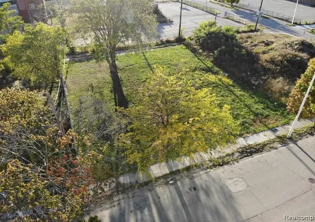 Photo 2 of Land for sale at 2939 Park Ave, Detroit, MI 48201 | MLS# 20250008451 | Listing updated on 2026-07-23