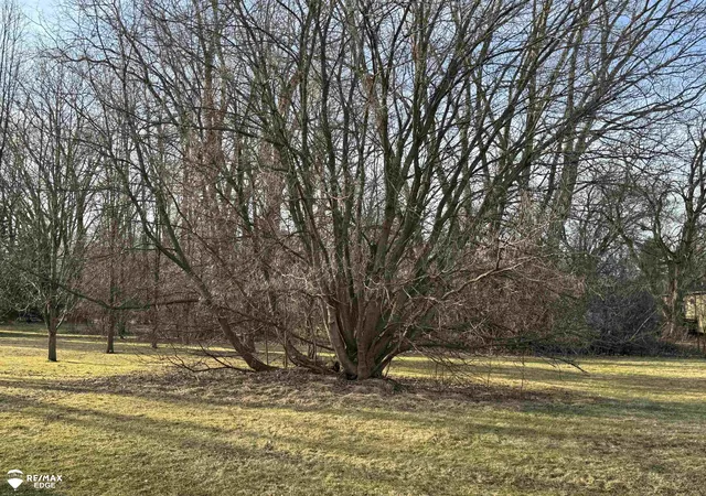 Photo 3 of Land for sale at 0 S Genesee Rd, Burton City Genesee, MI 48509 | MLS# 5050166309 | Listing updated on 2026-01-28