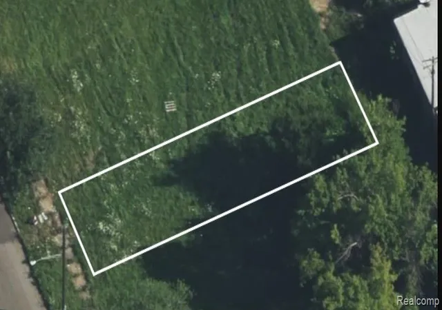 Photo 4 of Land for sale at 4454 15th Street, Detroit, MI 48208 | MLS# 20250010047 | Listing updated on 2026-03-25
