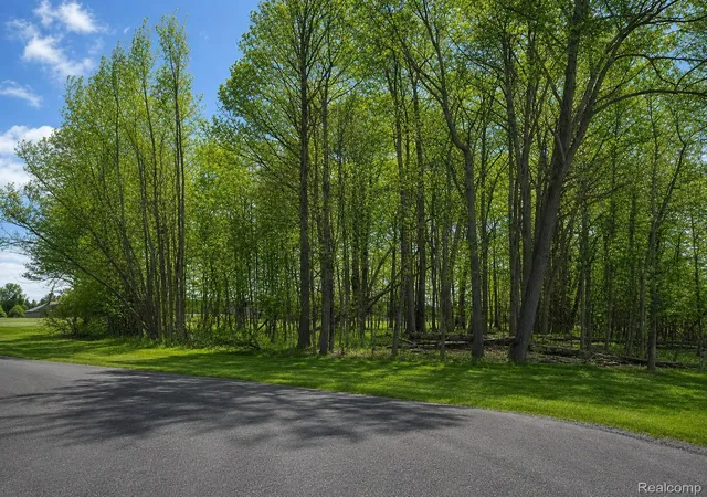 Photo 3 of Single family home for sale at 4171 Belle Ridge Dr, Dryden, MI 48428 | MLS# 20250010870 | Listing updated on 2026-06-30