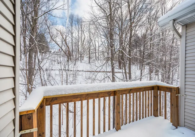 27th image of 734 Unit 734 Tioga Park, Big Rapids City Mecosta, MI 49307 | MLS# 72025006036