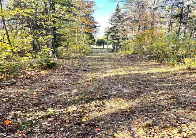 5th image of Tbd Keweenaw Pass Rd, Lake Linden, MI 49945 | MLS# 79080054368