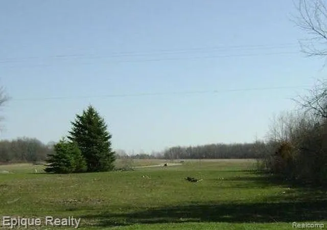Homes for sale in Flushing, MI | 000 Potter, Flushing, MI 48433 | MLS# 20250012363