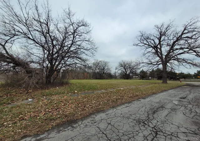 Land for sale at 1546 Collingwood St, Detroit, MI 48206 | MLS# 20250013702