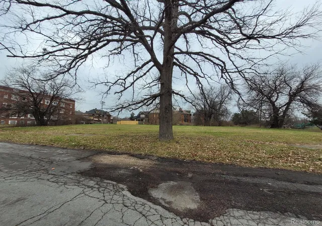 Photo 3 of Land for sale at 1546 Collingwood St, Detroit, MI 48206 | MLS# 20250013702 | Listing updated on 2026-08-27