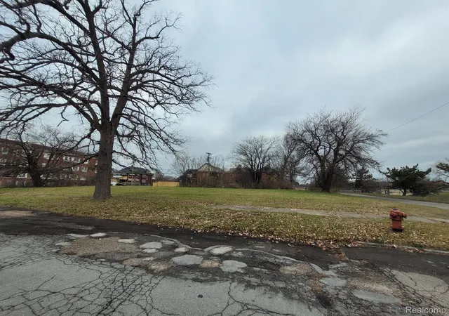 Photo 4 of Land for sale at 1546 Collingwood St, Detroit, MI 48206 | MLS# 20250013702 | Listing updated on 2026-08-27