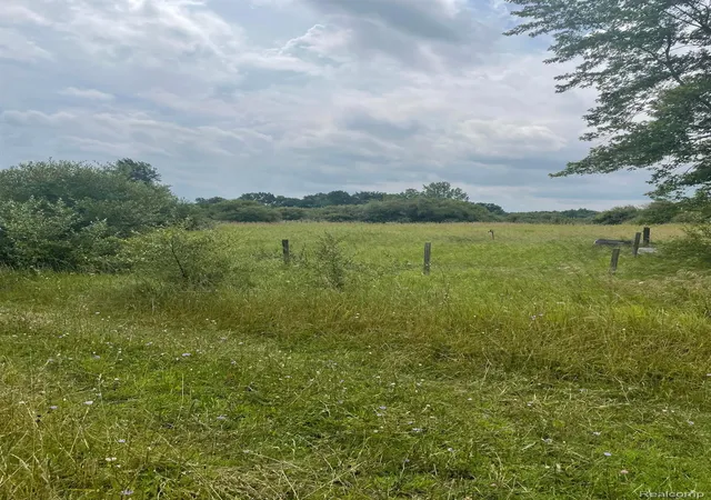 Photo 1 of Land for sale at 0000 Brauer Rd, Oxford, MI 48371 | MLS# 20250014635 | Listing updated on 2026-08-05