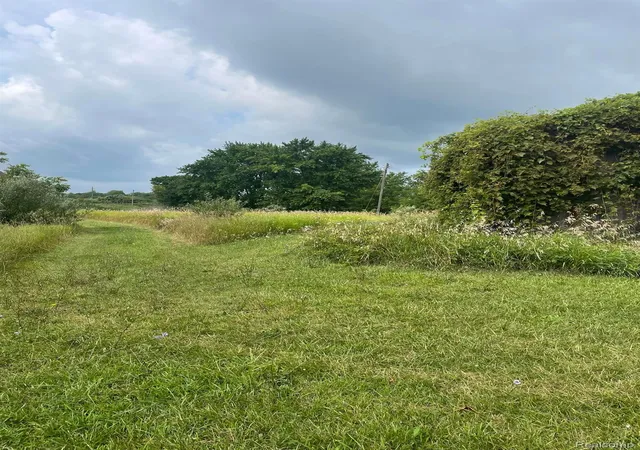 Photo 2 of Land for sale at 0000 Brauer Rd, Oxford, MI 48371 | MLS# 20250014635 | Listing updated on 2026-08-05