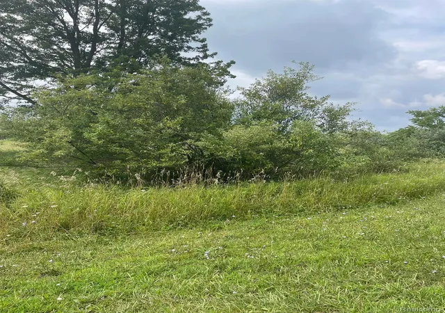 Photo 4 of Land for sale at 0000 Brauer Rd, Oxford, MI 48371 | MLS# 20250014635 | Listing updated on 2026-08-05
