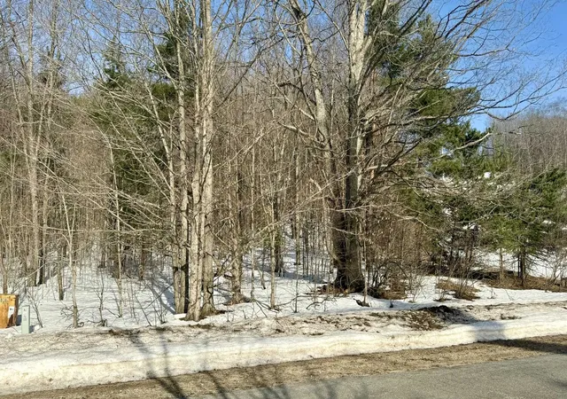 Photo 3 of Land for sale at Lot 202 Clearview Dr, Bellaire, MI 49615 | MLS# 78080054748 | Listing updated on 2026-03-14