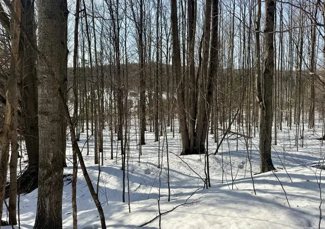 Photo 3 of Land for sale at Lot 202 Clearview Dr, Bellaire, MI 49615 | MLS# 78080054748 | Listing updated on 2026-03-14