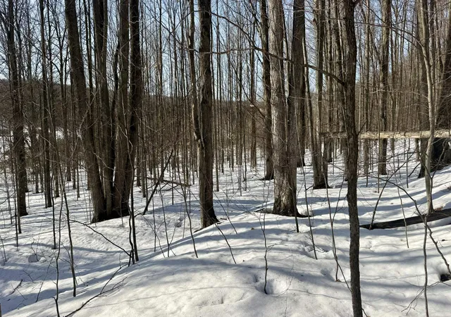 Photo 4 of Land for sale at Lot 202 Clearview Dr, Bellaire, MI 49615 | MLS# 78080054748 | Listing updated on 2026-03-14