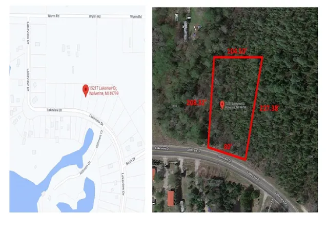 Homes for sale in Wolverine, MI | 15217 Lakeview Dr, Wolverine, MI 49799 | MLS# 58050168866