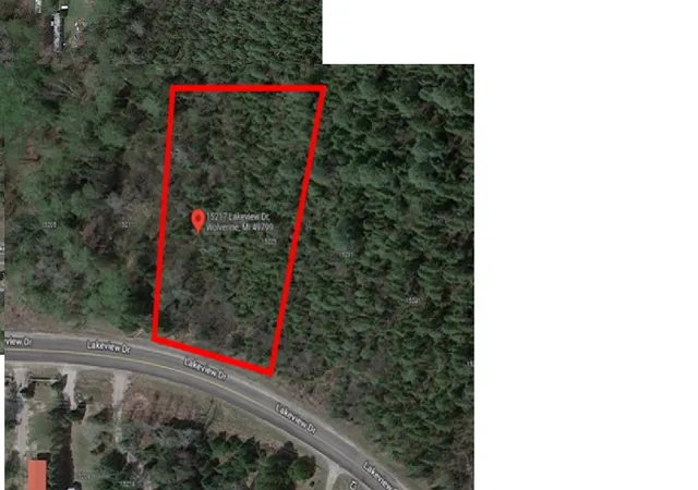 Homes for sale in Wolverine, MI | 15217 Lakeview Dr, Wolverine, MI 49799 | MLS# 58050168866