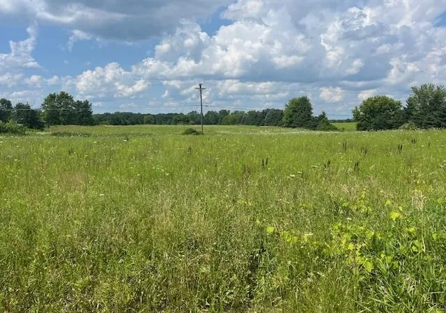 1st image of 6839 Dryden Rd, Almont, MI 48003 | MLS# 58050169494