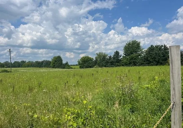Photo 3 of Land for sale at 6839 Dryden Rd, Almont, MI 48003 | MLS# 58050169494 | Listing updated on 2026-09-10