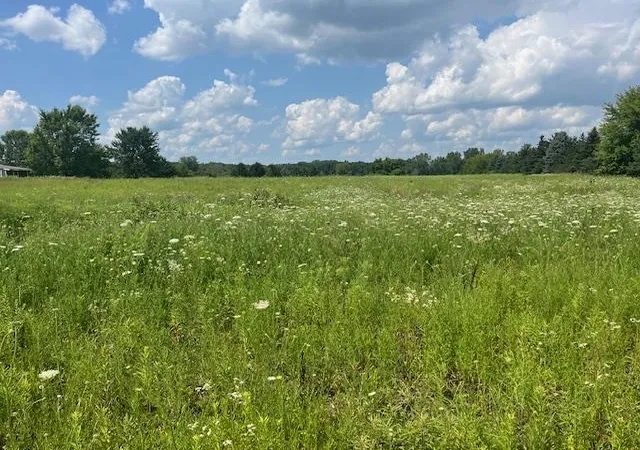 Photo 3 of Land for sale at 6839 Dryden Rd, Almont, MI 48003 | MLS# 58050169494 | Listing updated on 2026-09-10
