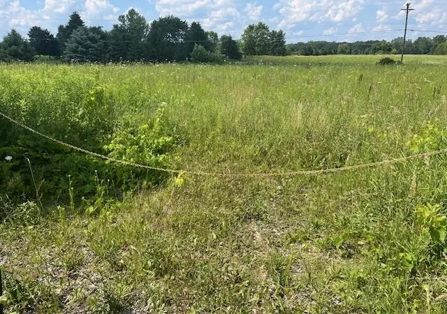 Photo 4 of Land for sale at 6839 Dryden Rd, Almont, MI 48003 | MLS# 58050169494 | Listing updated on 2026-09-10