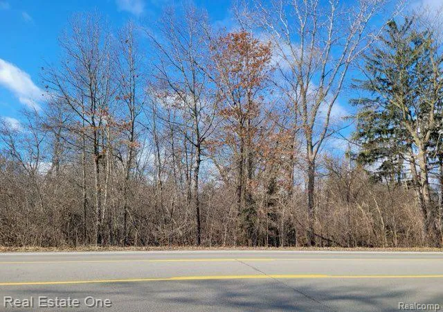 Photo 2 of Land for sale at 0000 Union Lake Road, White Lake, MI 48386 | MLS# 20250020349 | Listing updated on 2026-08-06