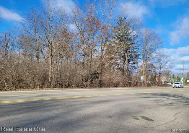 Photo 4 of Land for sale at 0000 Union Lake Rd, White Lake, MI 48386 | MLS# 20250020349 | Listing updated on 2026-08-06